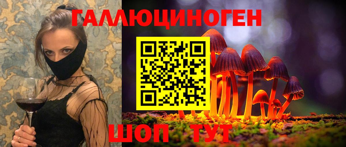 Галлюциногенные грибы GOLDEN TEACHER Чистополь